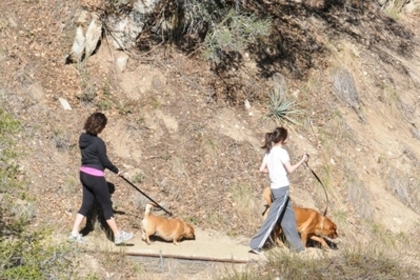 normal_selena8 - Hiking with Dogs