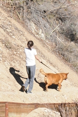 normal_selena9 - Hiking with Dogs