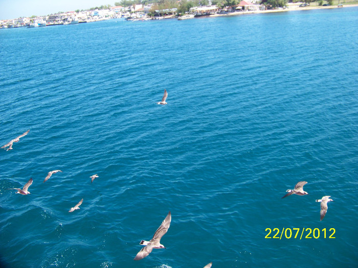 354_7507 - Thassos 2012