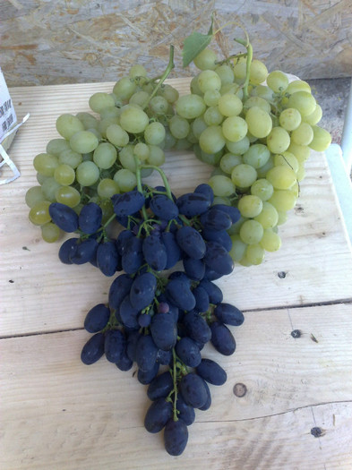 21072012 alaturi de blackmagiv