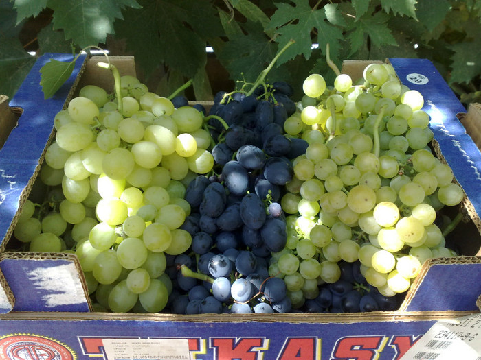 21072012 - VITA DE VIE 2012