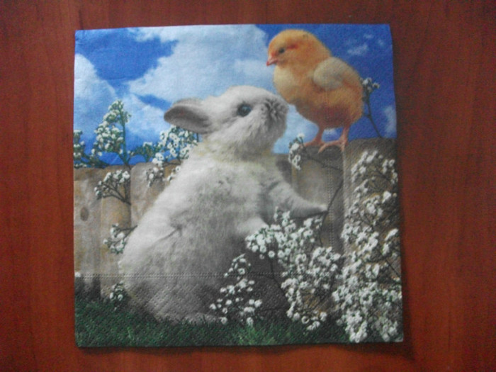 Picture 184