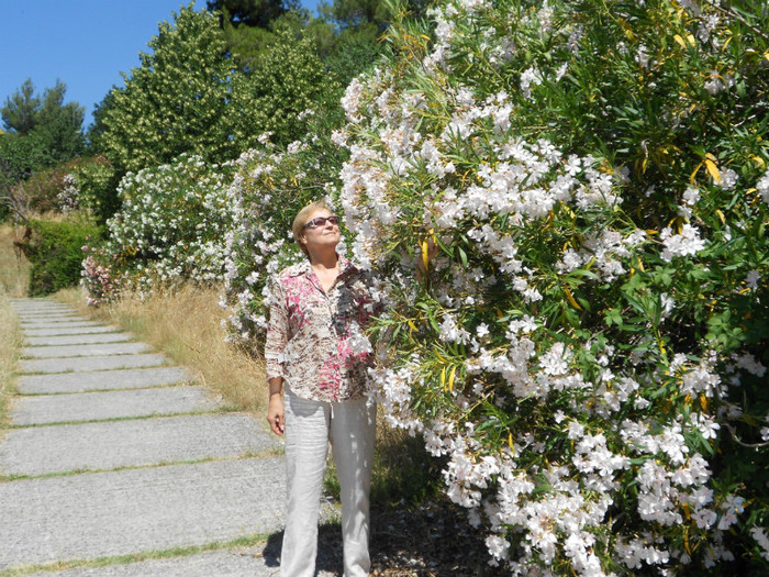 am ajuns in parcul de lingà casà