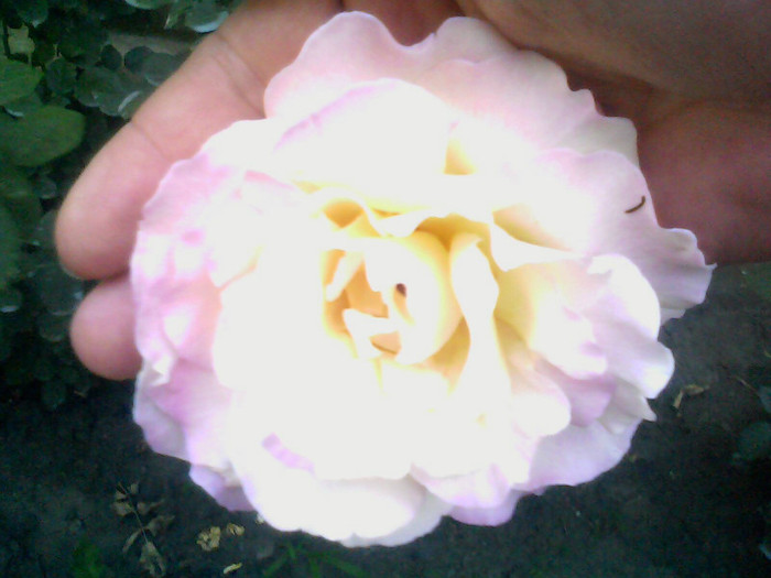 Picture 028