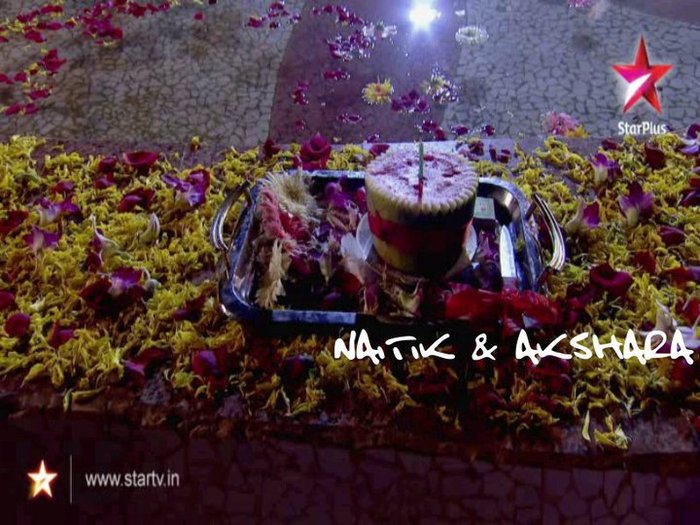 261514_226475044039598_1962526_n