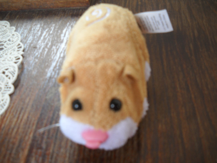 DSCN0199; hamsterul meu

