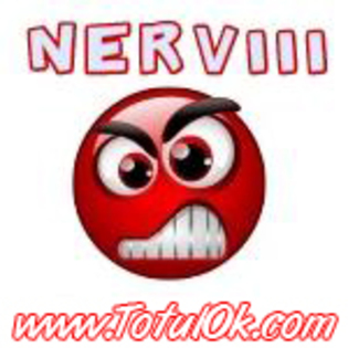 Nervii intinsi la maximi