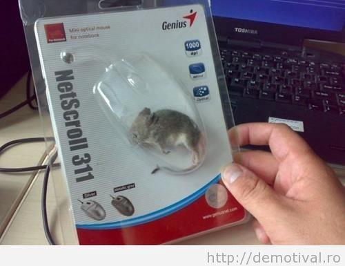 488038_460968493913913_1516140639_n - Conversatii haioase