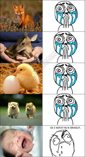 553833_461001387243957_1344406483_n - Conversatii haioase