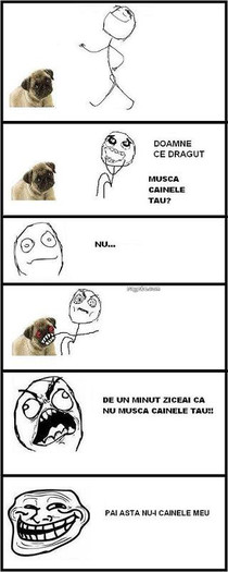 556582_466139416730154_538752281_n - Conversatii haioase