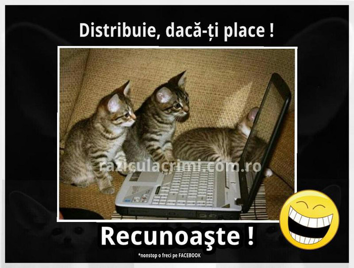 558377_443541185686096_546078195_n