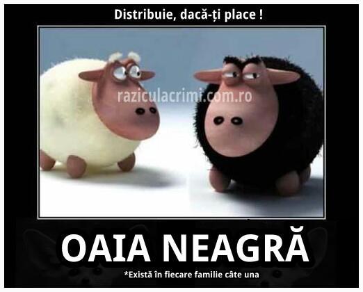 560870_438110529562495_1162248378_n