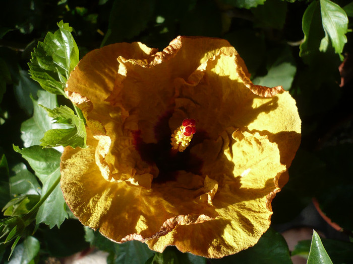 P1160205