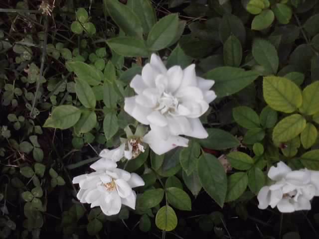 P240712_19.37_[04]