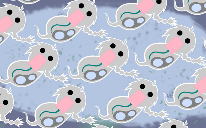 75 - Fullmetal alchemist poze noi