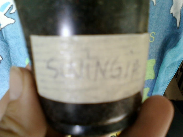 singura mea siningie...   :(((