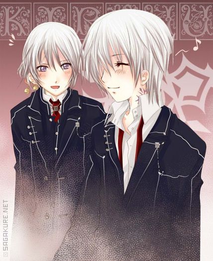 12 - Vampire Knight