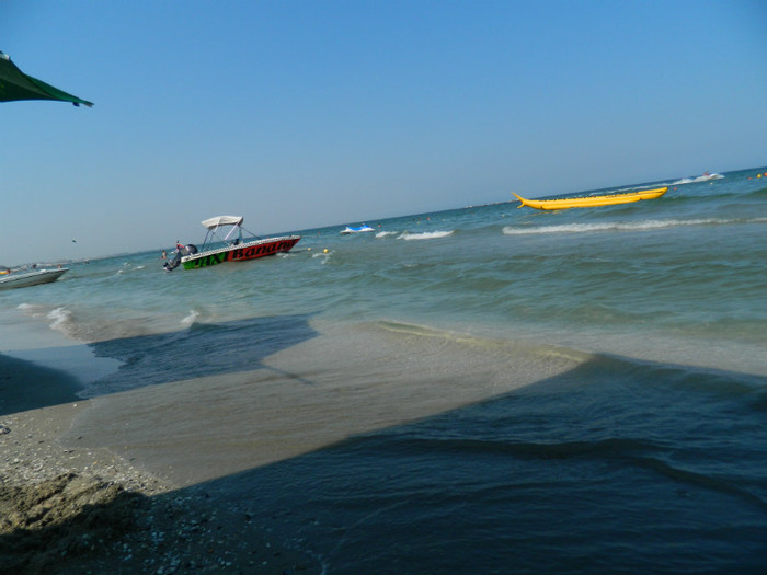 DSCN8251