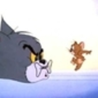 tom-and-jerry-389146l-thumbnail_gallery - Tom and Jery