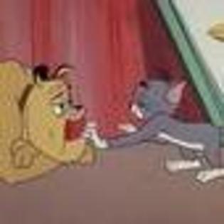 tom-and-jerry-556160l-thumbnail_gallery - Tom and Jery