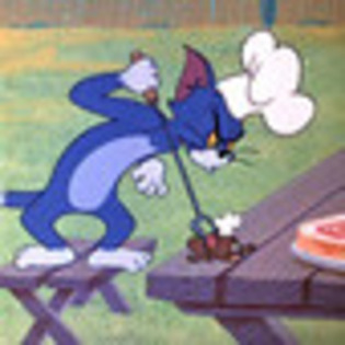 tom-and-jerry-592438l-thumbnail_gallery - Tom and Jery