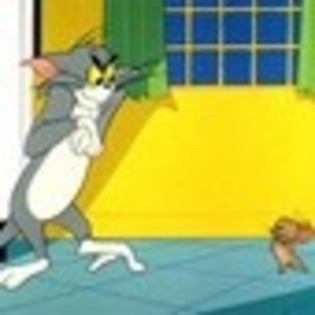 tom-and-jerry-852162l-thumbnail_gallery - Tom and Jery