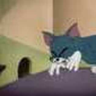 tom-and-jerry-863271l-thumbnail_gallery - Tom and Jery