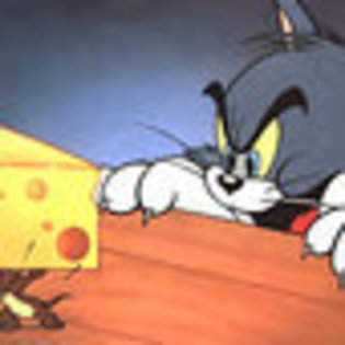 tom-and-jerry-888554l-thumbnail_gallery - Tom and Jery