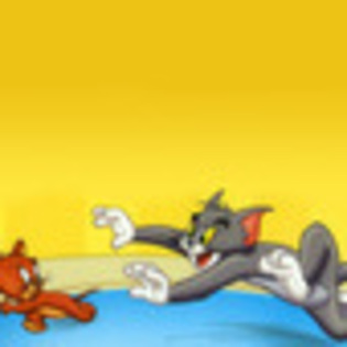 tom-and-jerry-889126l-thumbnail_gallery - Tom and Jery