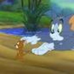 tom-and-jerry-the-movie-244488l-thumbnail_gallery - Tom and Jery