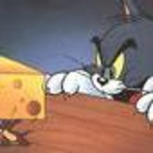 tom-and-jerry-the-movie-251084l-thumbnail_gallery - Tom and Jery