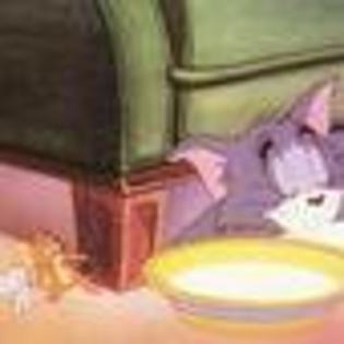 tom-and-jerry-the-movie-284514l-thumbnail_gallery - Tom and Jery