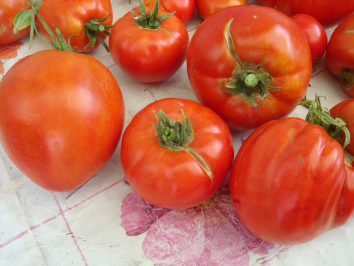 Picture 096 - gradina 2012