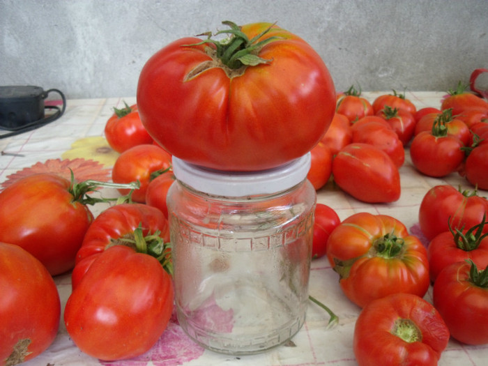 Picture 101 - gradina 2012