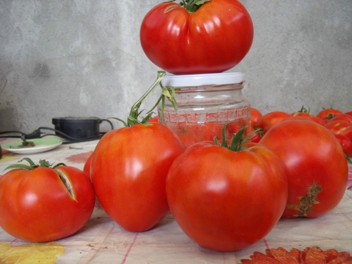 Picture 103 - gradina 2012