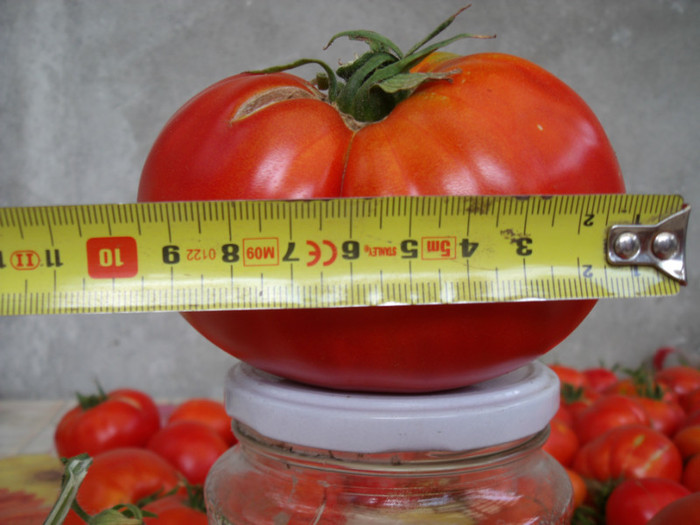 Picture 106 - gradina 2012