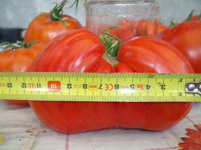 Picture 110 - gradina 2012