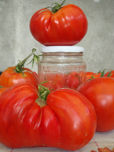 Picture 111 - gradina 2012