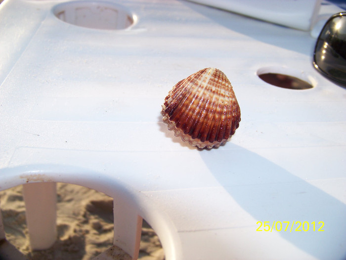 ne-a oferit - Thassos 2012