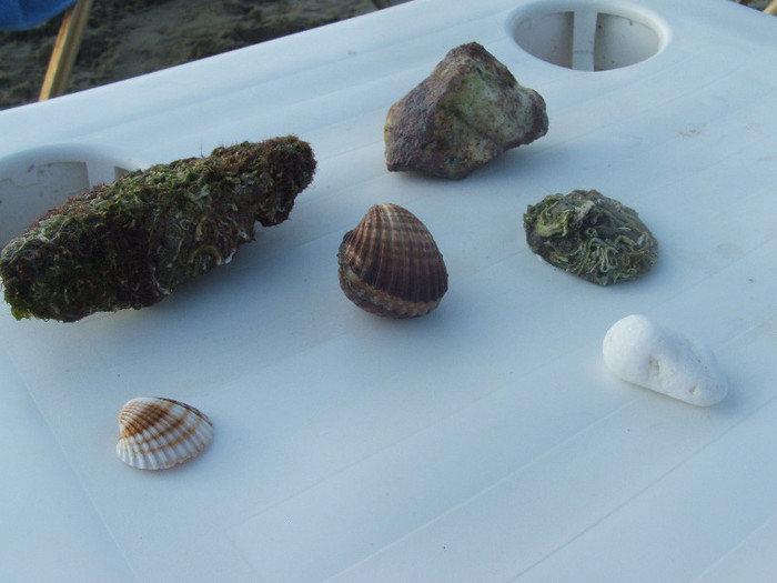 DSCF6029 - Thassos 2012