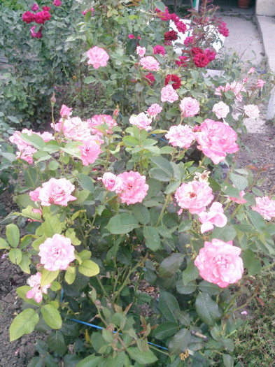 Photo0403