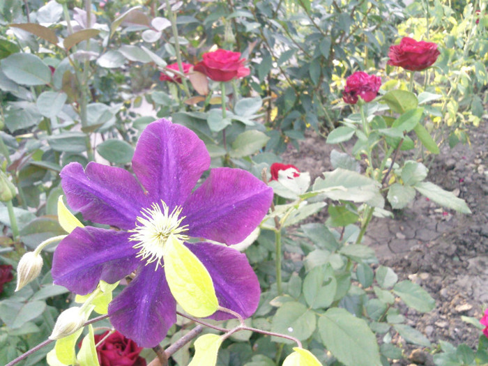 Photo0409
