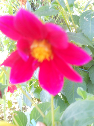 DSCN3143