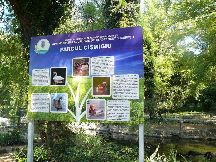P1420704 - Vacanta 2012