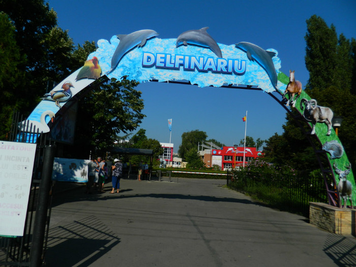 DSCN8275 - DELFINARIU