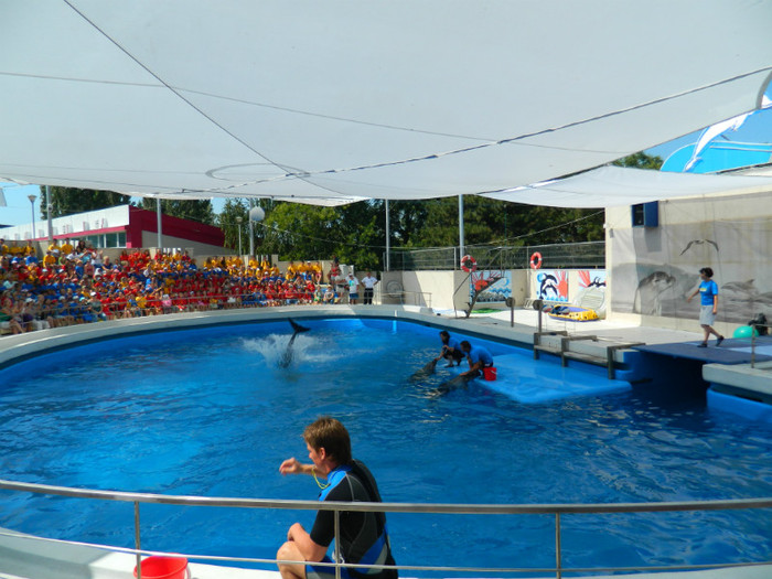 DSCN8397 - DELFINARIU