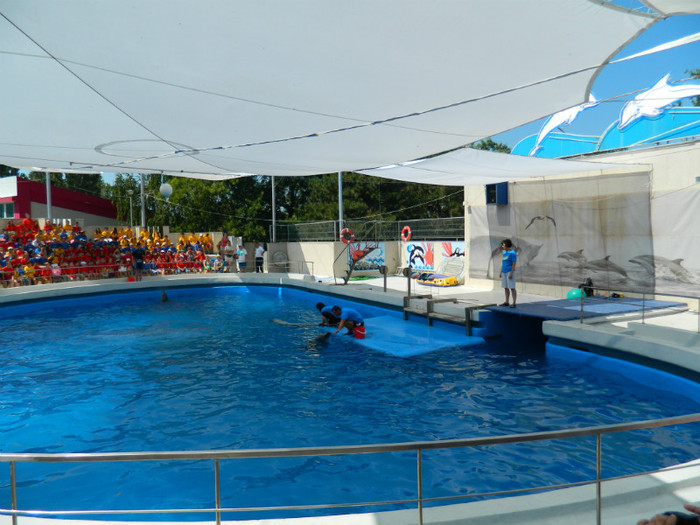 DSCN8398 - DELFINARIU