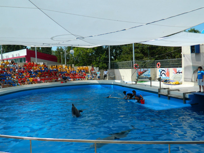 DSCN8400 - DELFINARIU
