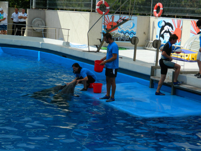 DSCN8458 - DELFINARIU