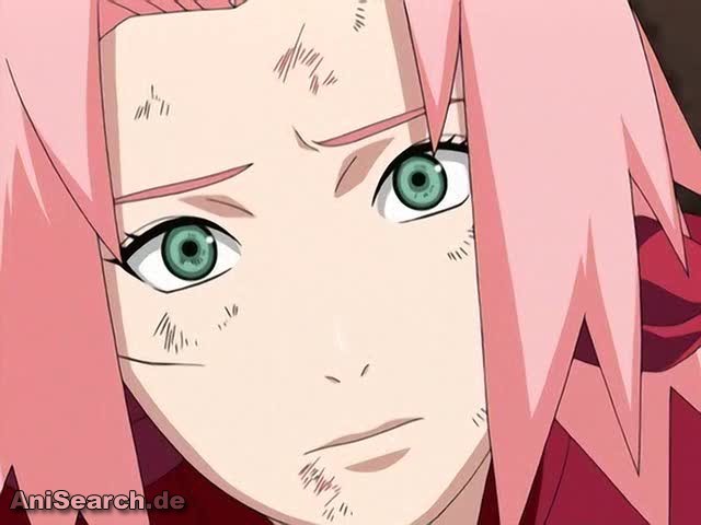 sakura 5